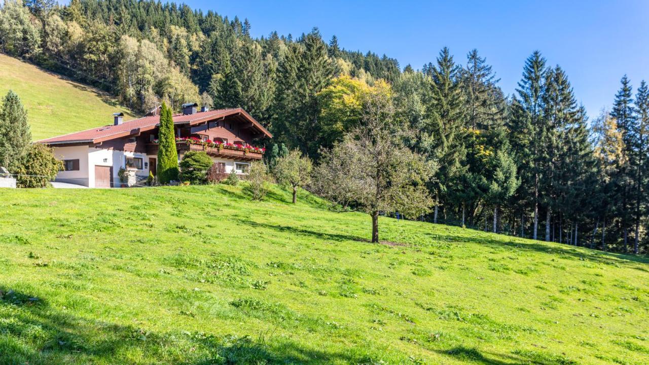 Ferienhaus Berger Mittersill Luaran gambar