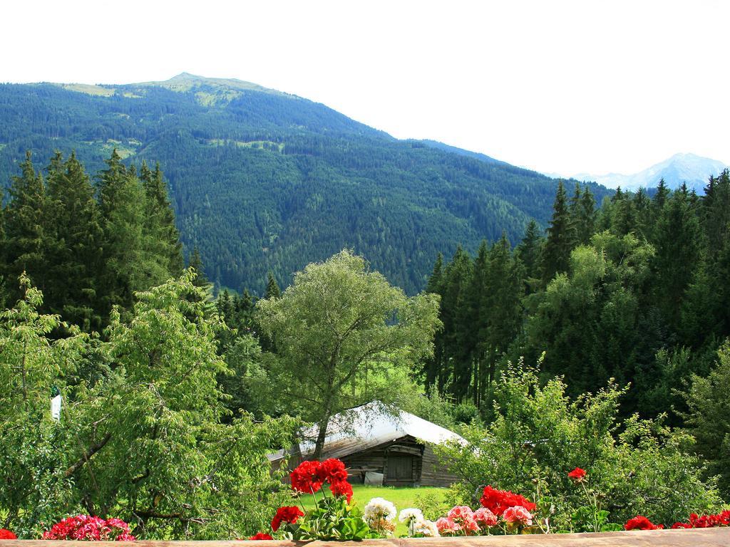 Ferienhaus Berger Mittersill Bilik gambar